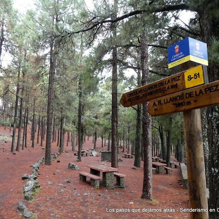 Canarias. Islas Afortunadas Las Palmas de Gran Canaria Extérieur photo