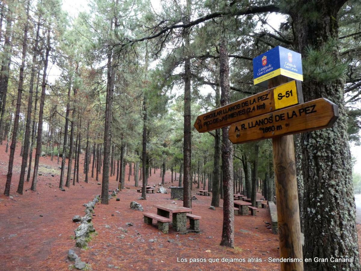 Canarias. Islas Afortunadas Las Palmas de Gran Canaria Extérieur photo